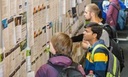 Stellenportal%2520Jobwall