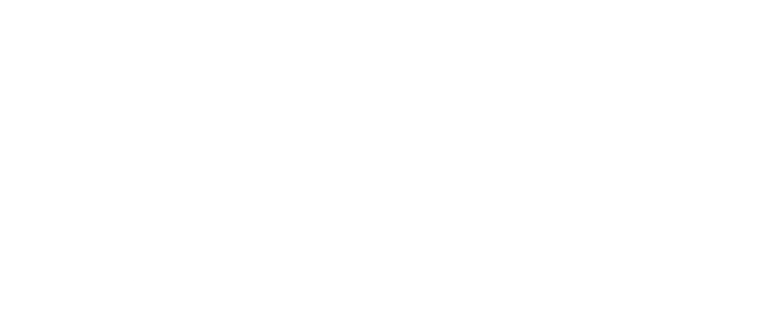 ZWIK Logo weiss